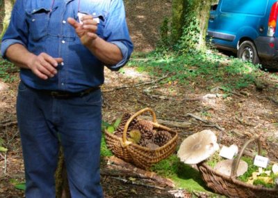 alzheimer-journee-fil-des-aidants-19-correze-27