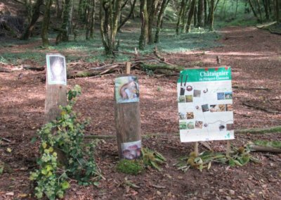 alzheimer-journee-fil-des-aidants-19-correze-7